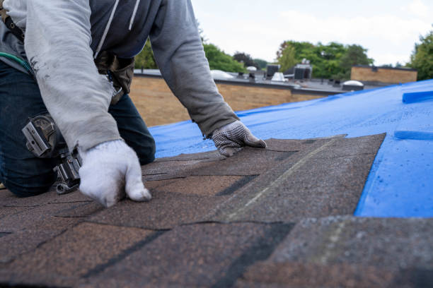 Quick and Trustworthy Emergency Roof Repair Services in Biloxi, MS
